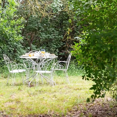 בית נופש Demeure Bajou - Piscine Privee - Parc Arbore Auterive (Haute-Garonne)